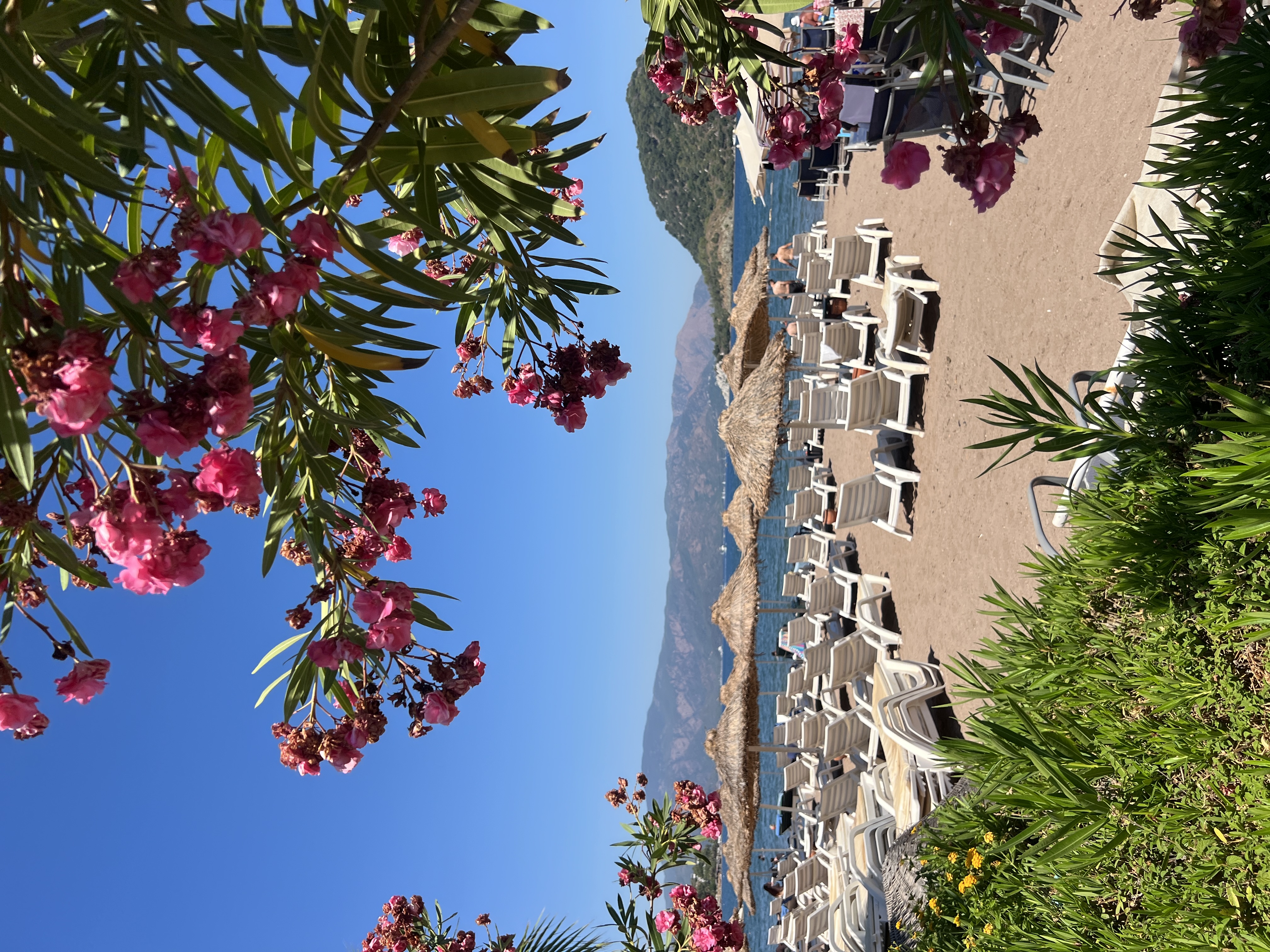 Istanbul - Experiență autentică